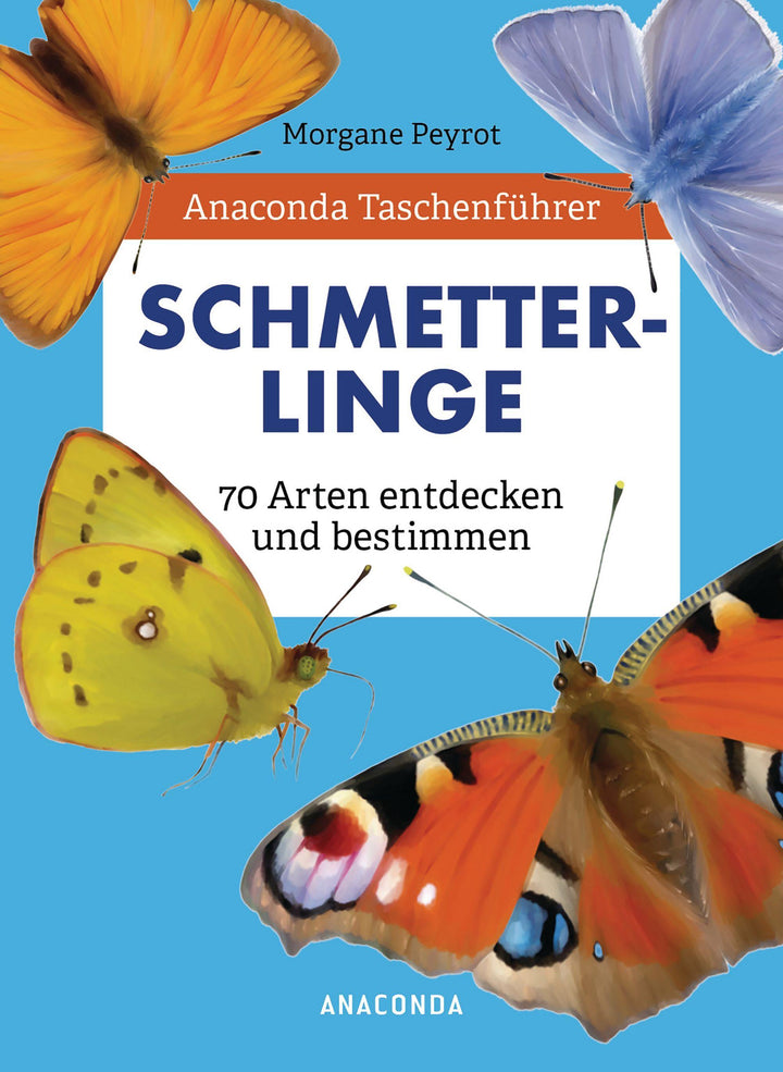 Anaconda Taschenführer Schmetterlinge. 70 Arten entdecken und bestimmen | Pe...