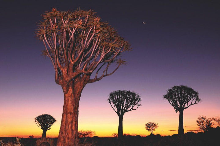 100 Highlights Afrikas Süden | Karl, Roland F.