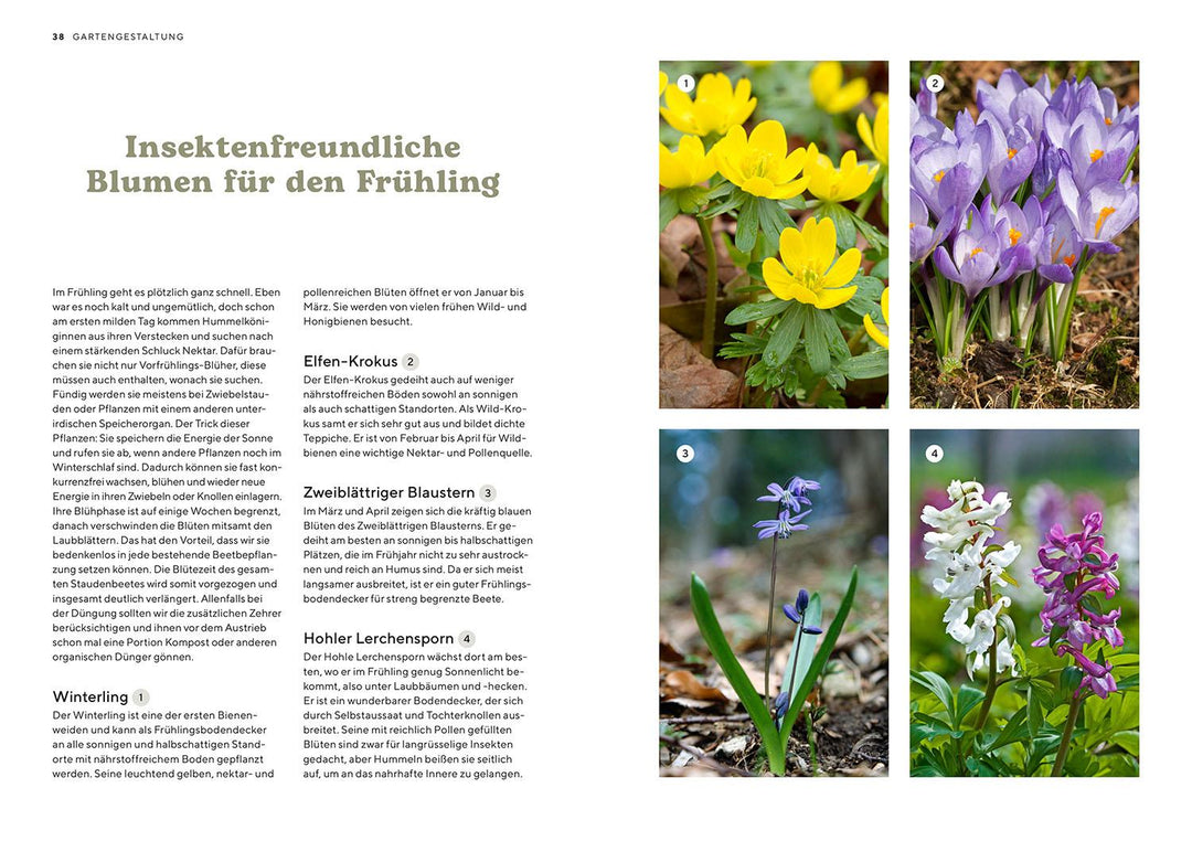 Mein Insektenparadies | Fedders, Mareike