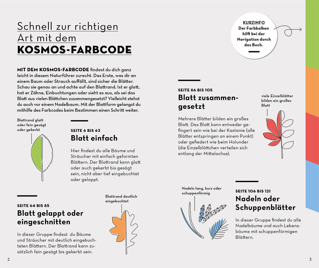 BASIC Bäume | Hecker, Katrin | Hecker, Frank