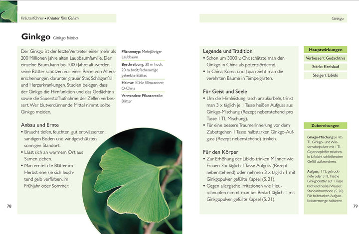 Handbuch Kräuter | Bremness, Lesley