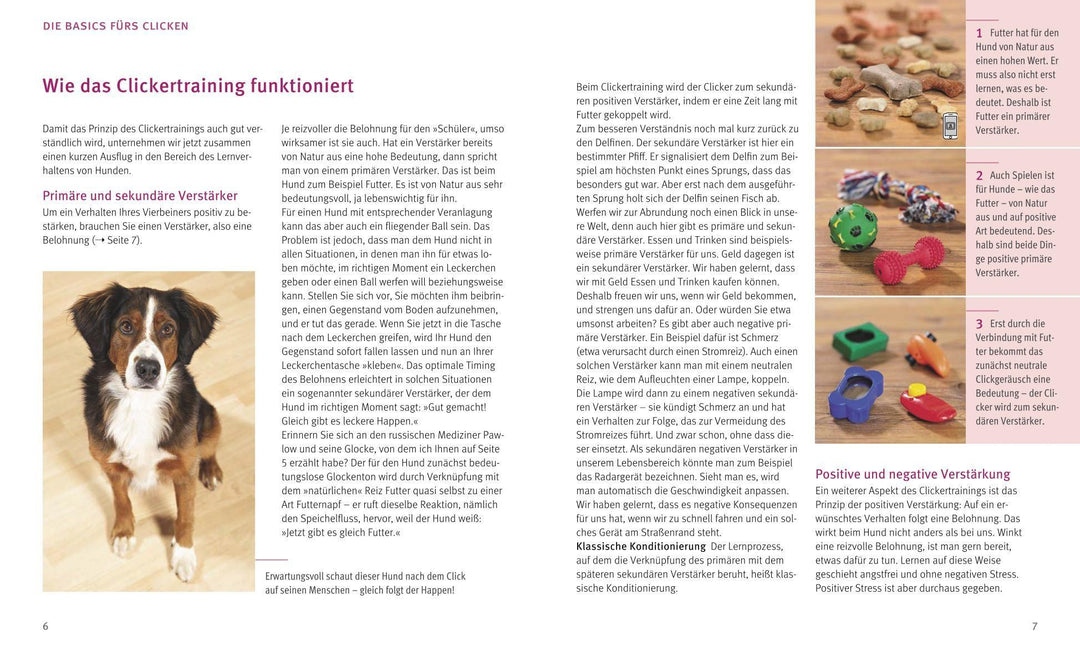 Hunde-Clickertraining | Schlegl-Kofler, Katharina