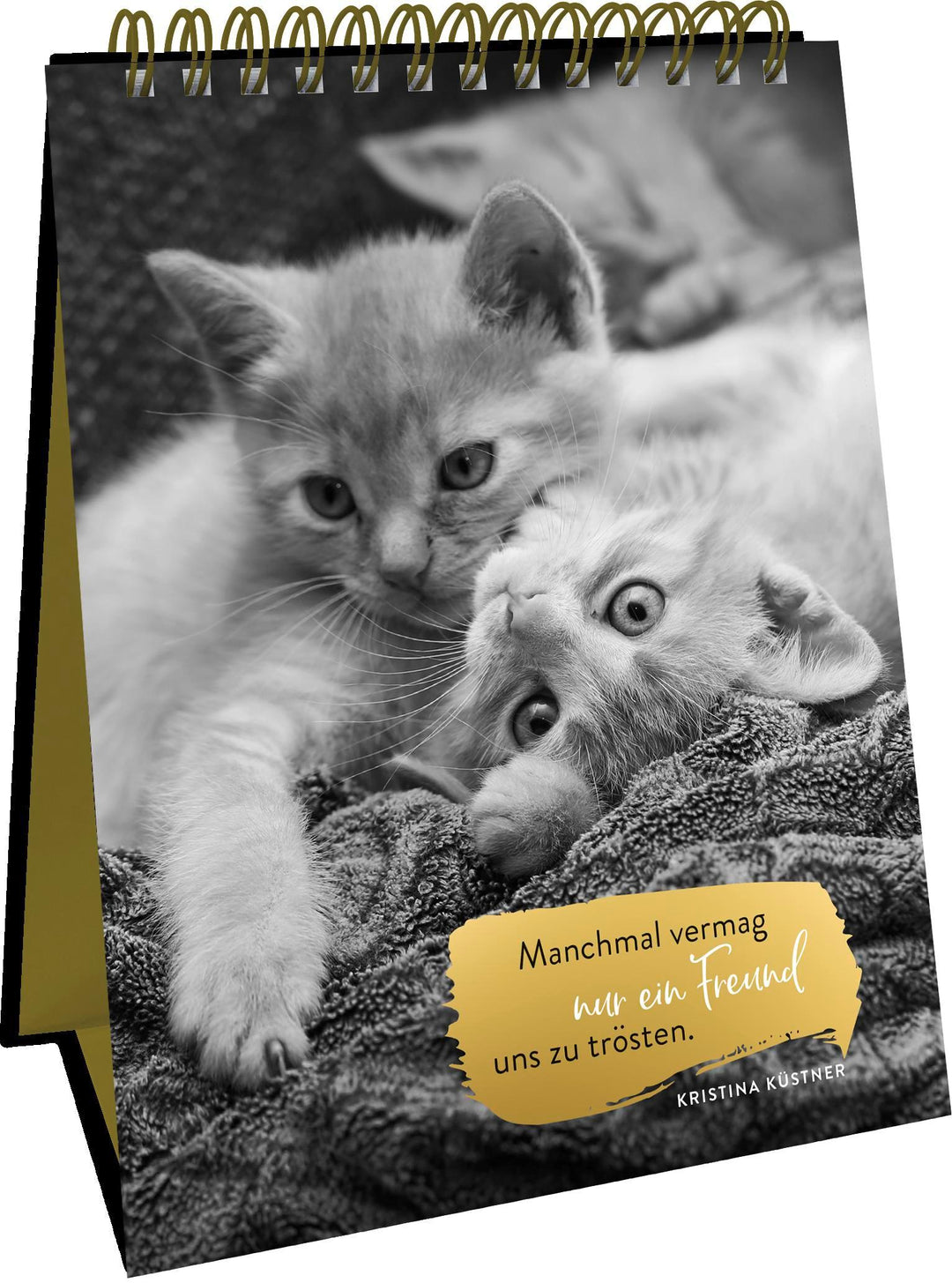 Goldene Katzenweisheiten | -