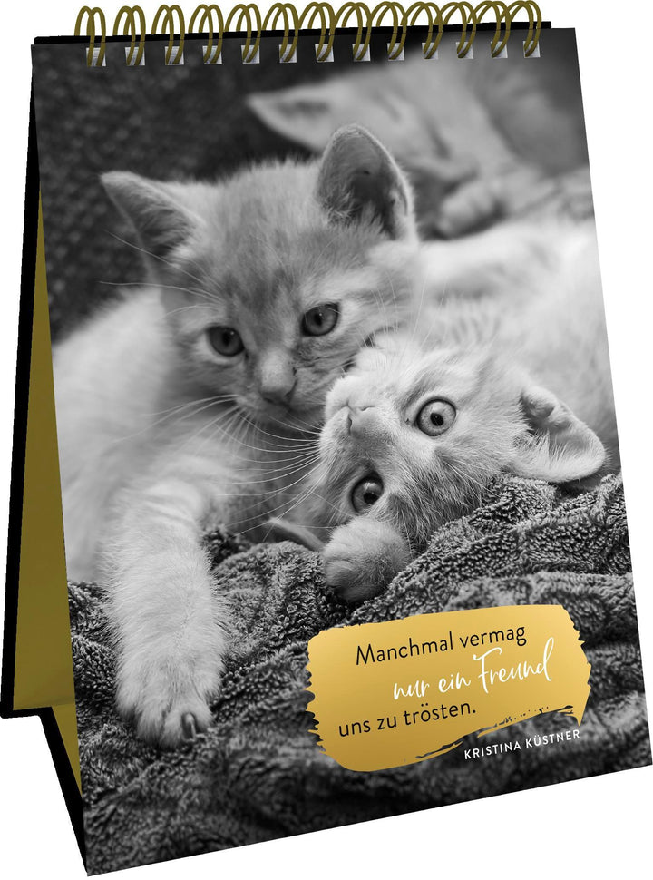 Goldene Katzenweisheiten | -