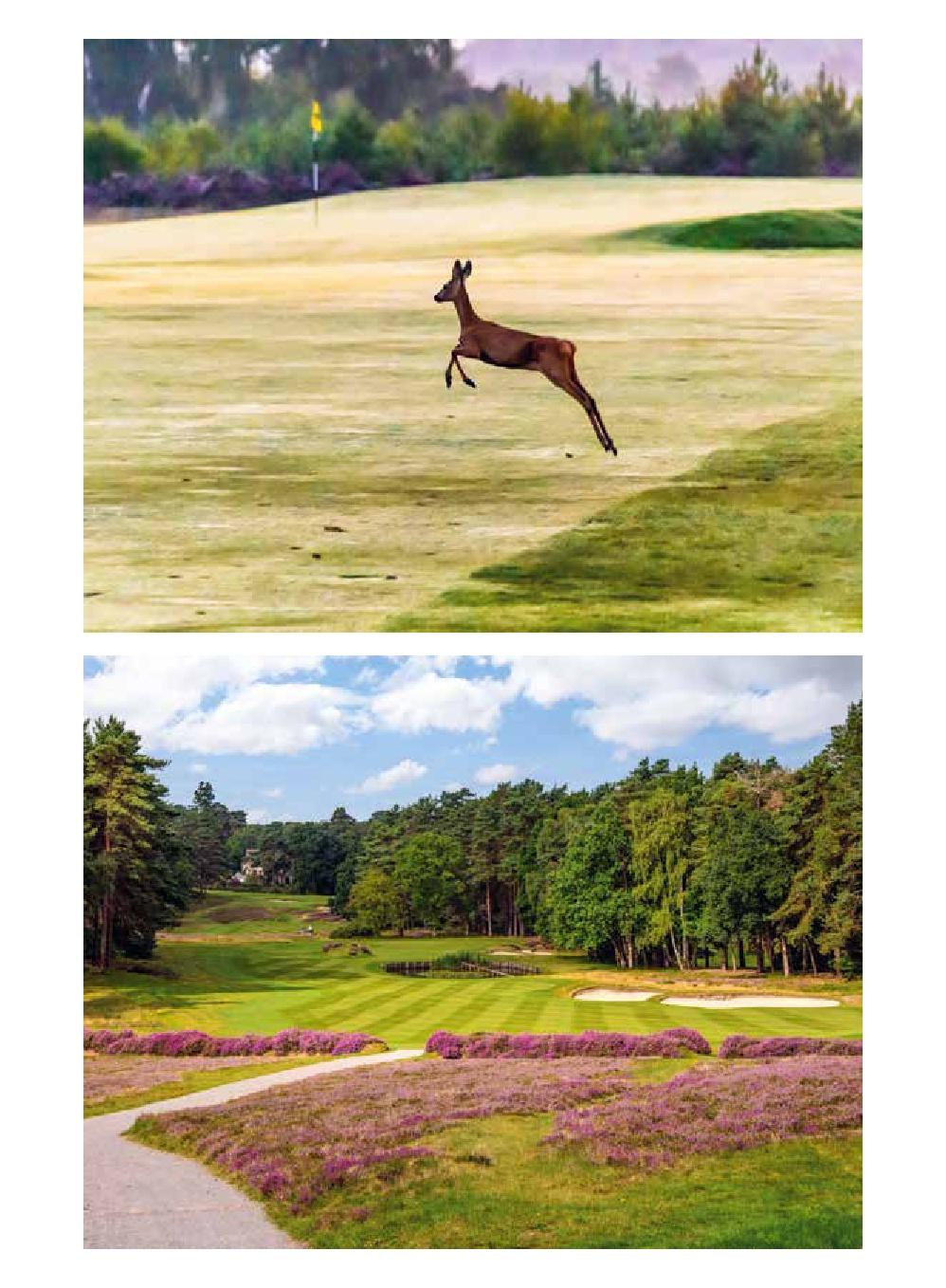 150 Golfplätze, die man gespielt haben muss - Golf Geschenkbuch | Waldek, St...