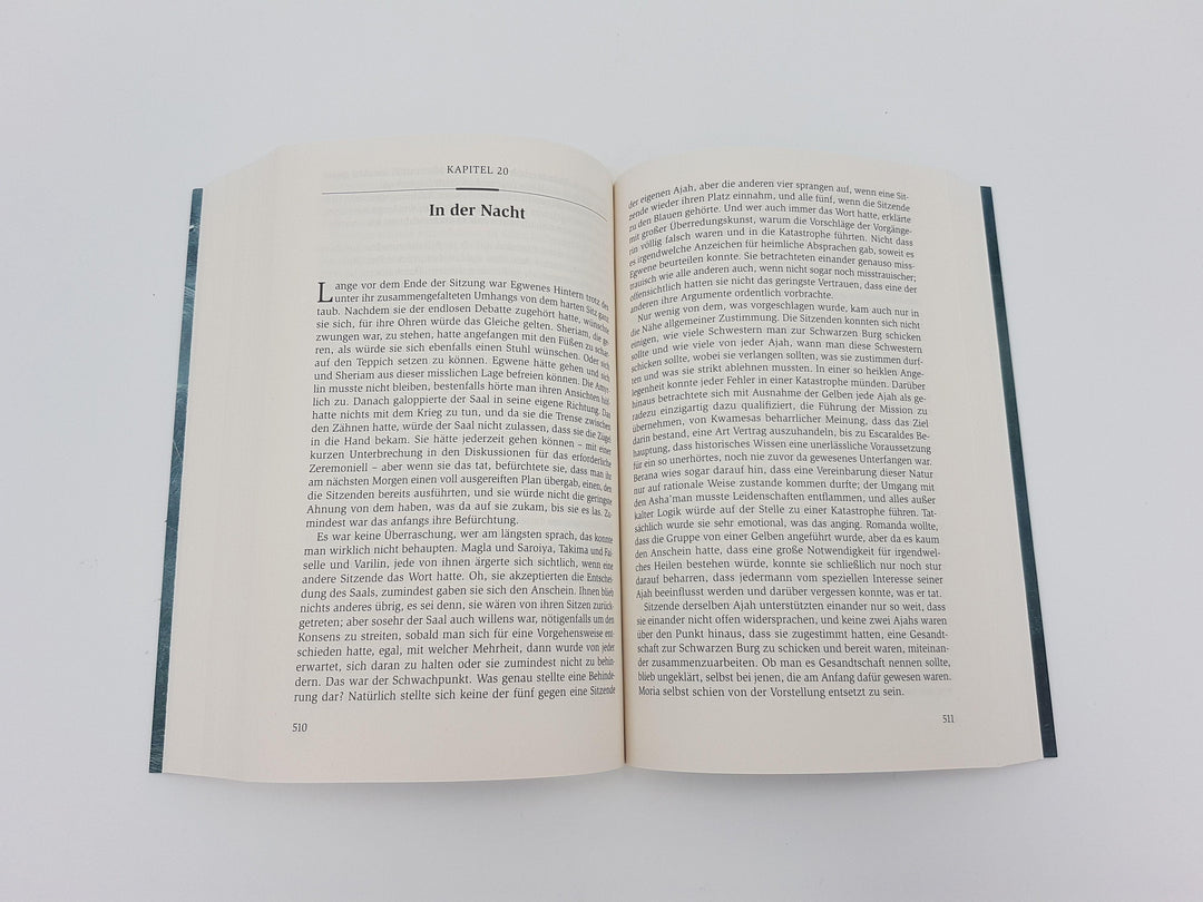 Das Rad der Zeit 10 | Jordan, Robert