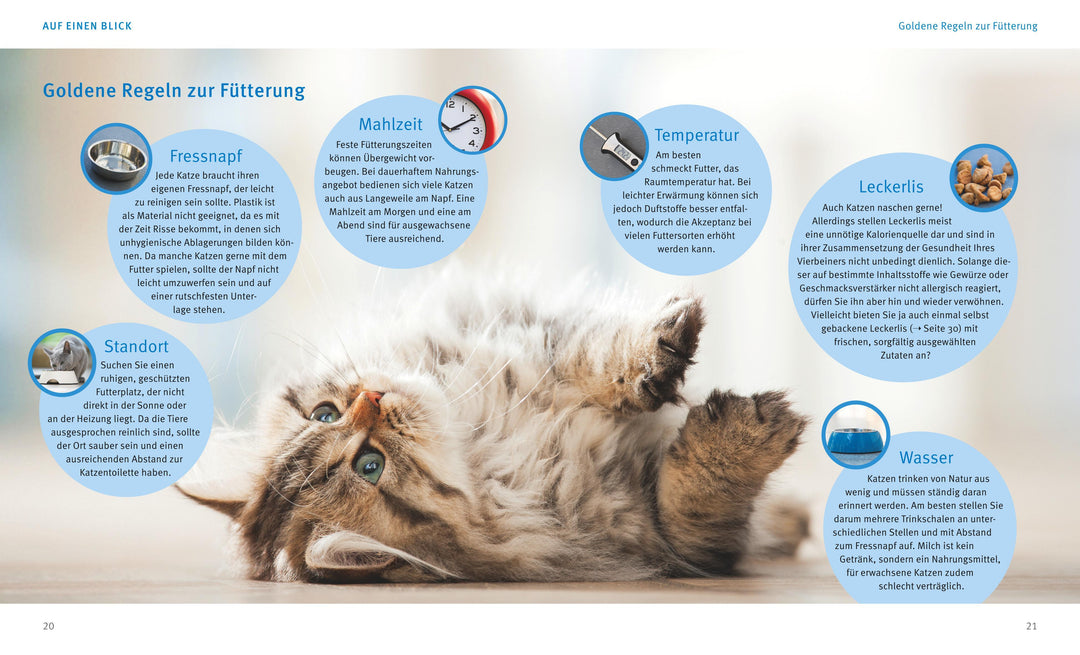 Katzen gesund ernähren | Streicher, Michael