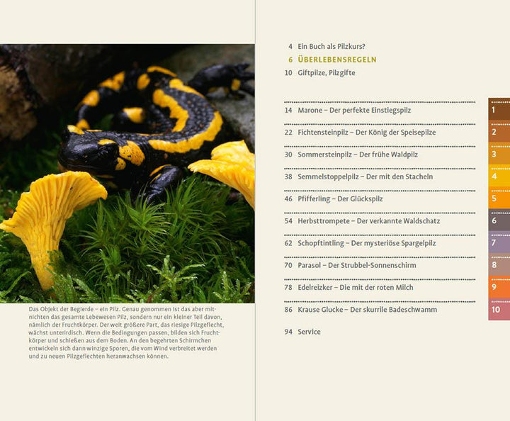10 Pilze | Schuster, Gerhard | Schneider, Christine