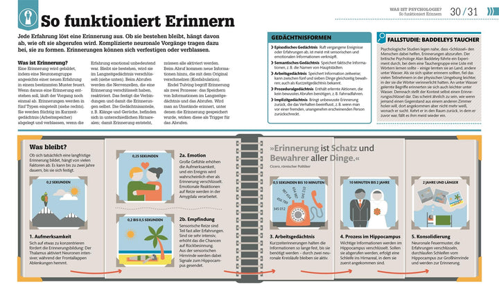 #dkinfografik. Psychologie im Alltag | Hemmings, Jo | Collin, Catherine | Gi...