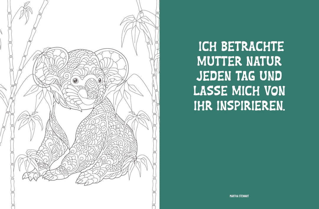 Colorful Mandala - Mandala - Dschungeltiere | -