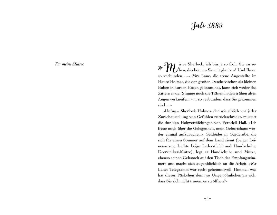 Der Fall des verschlüsselten Briefes | Springer, Nancy