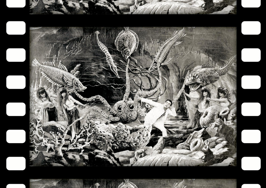 20 000 Meilen unter den Meeren | Verne, Jules