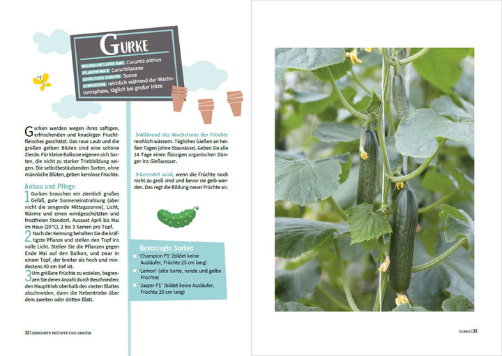 Permakultur auf Balkon & Terrasse. Gemüse nachhaltig und giftfrei anbauen | ...