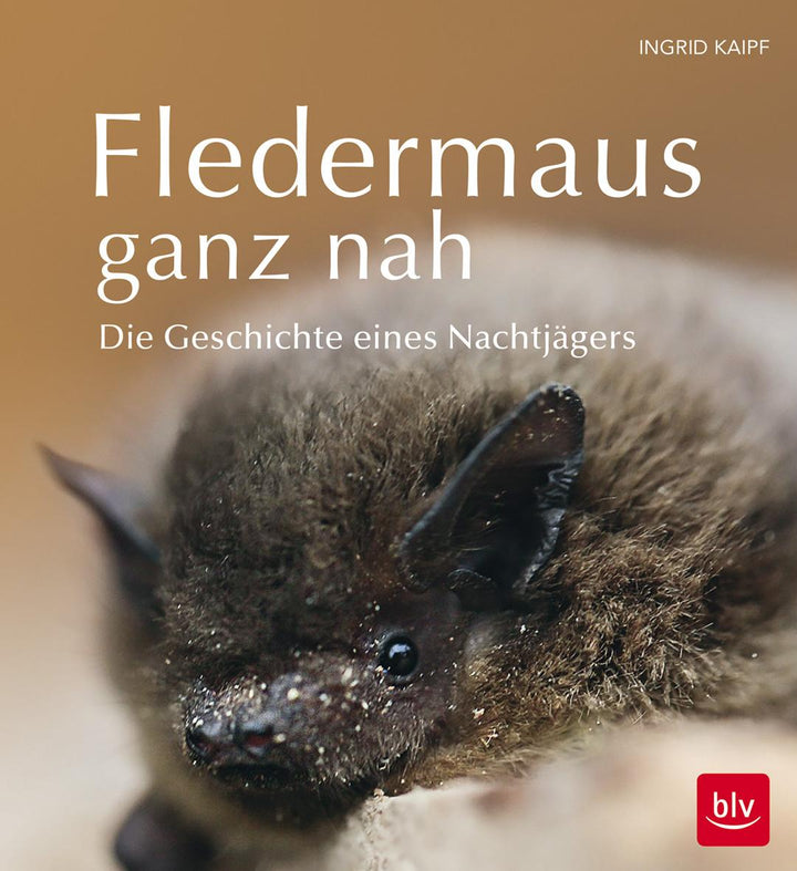 Fledermaus ganz nah | Kaipf, Ingrid