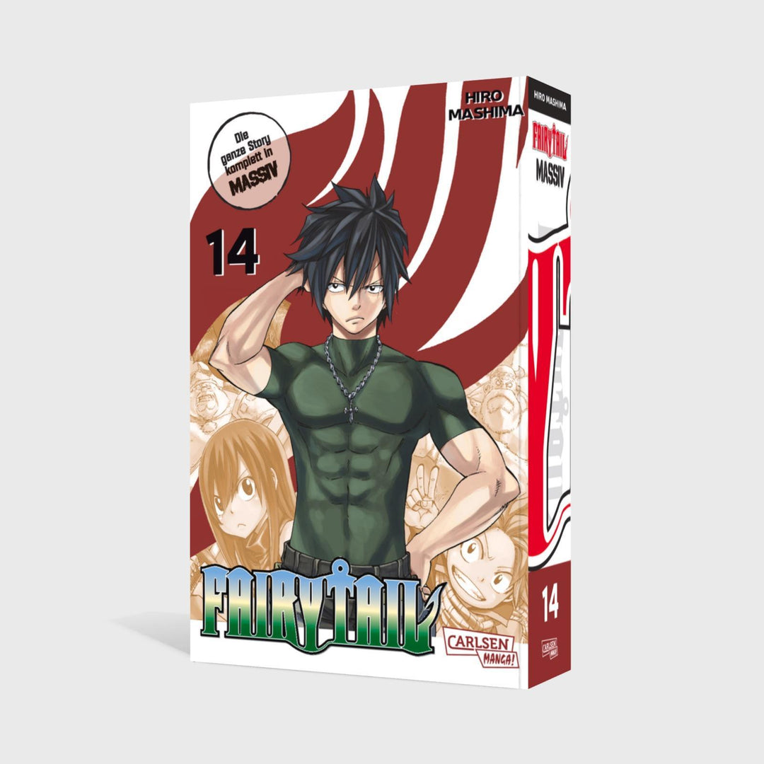 Fairy Tail Massiv 14 | Mashima, Hiro