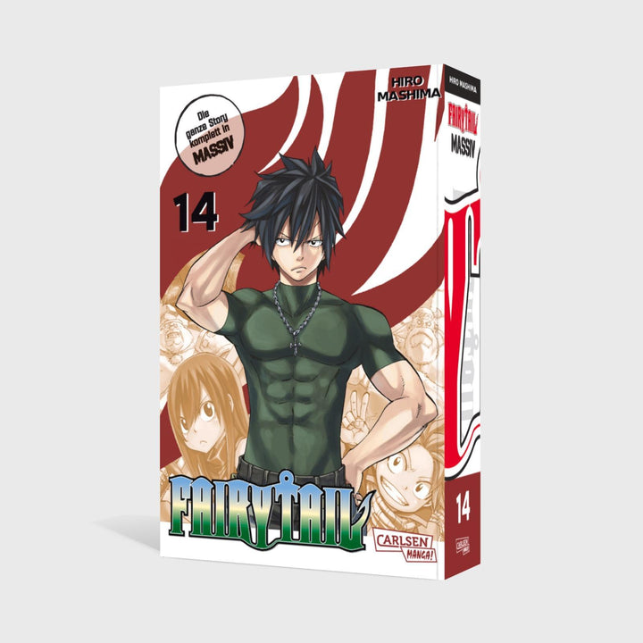 Fairy Tail Massiv 14 | Mashima, Hiro