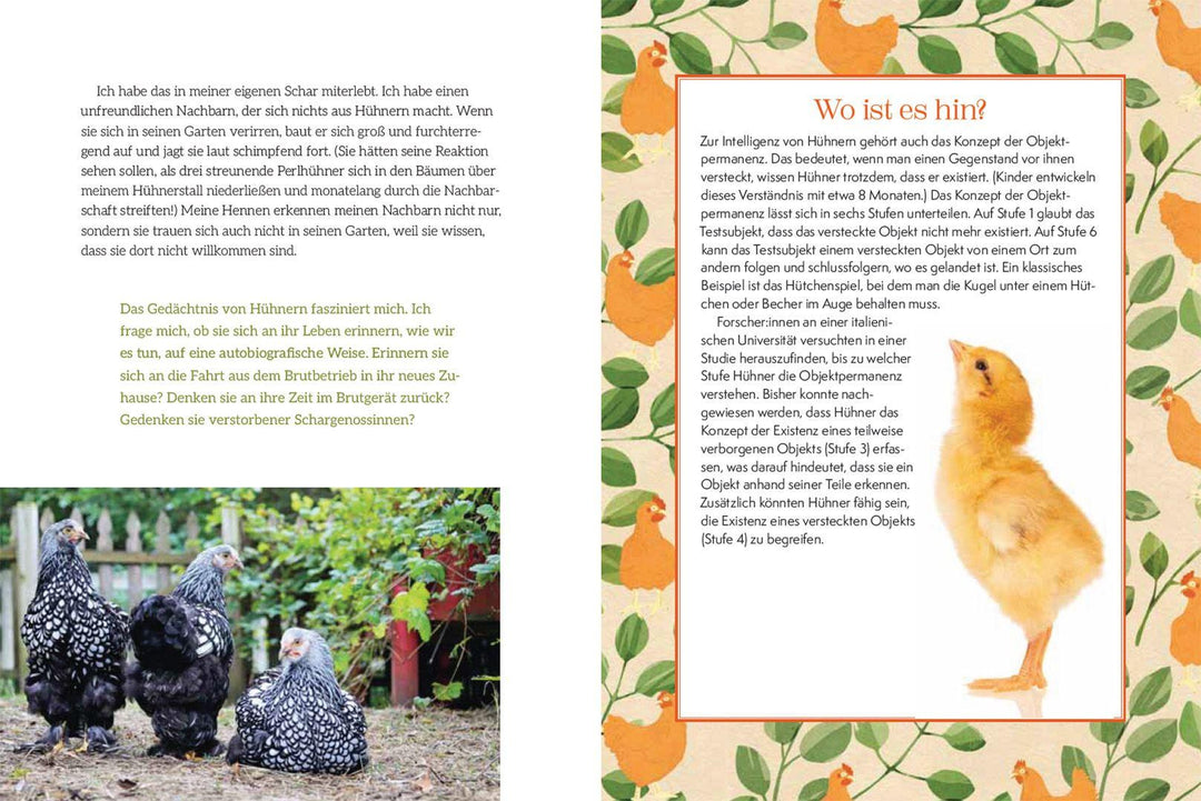 How to Read a Chicken's Mind | Caughey, Melissa