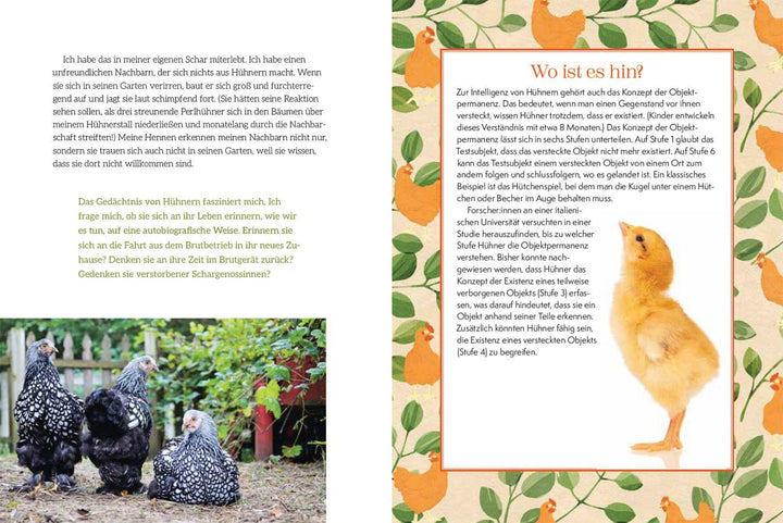 How to Read a Chicken's Mind | Caughey, Melissa