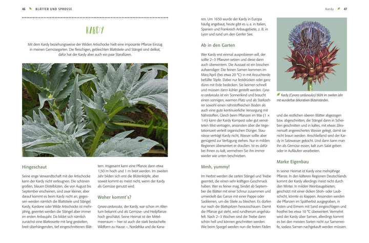 Gemüse forever! | Weidenweber, Christine