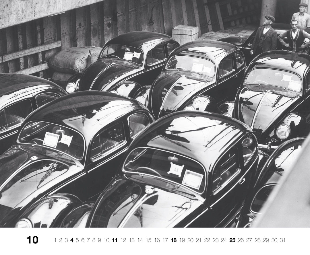 Gute Fahrt! 2026 | -