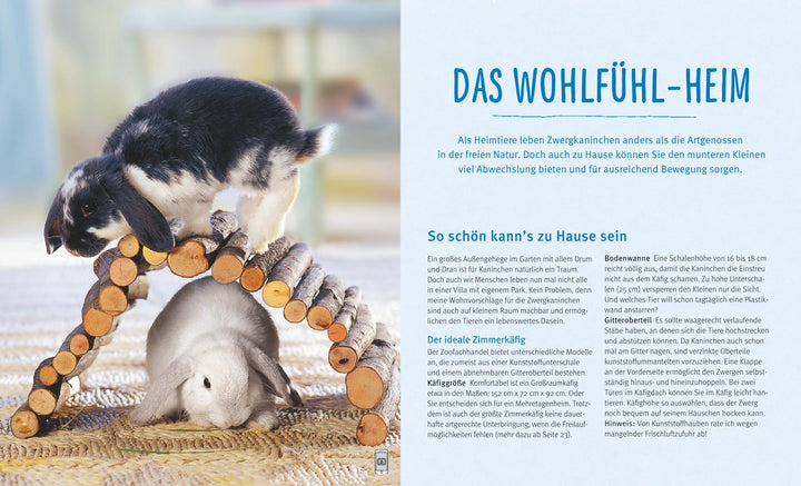 Zwergkaninchen | Wegler, Monika