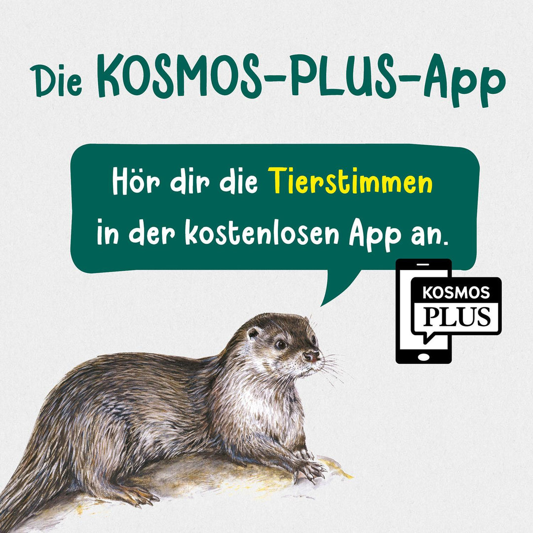 Was lebt an Bach und Teich? Kindernaturführer | Saan, Anita van