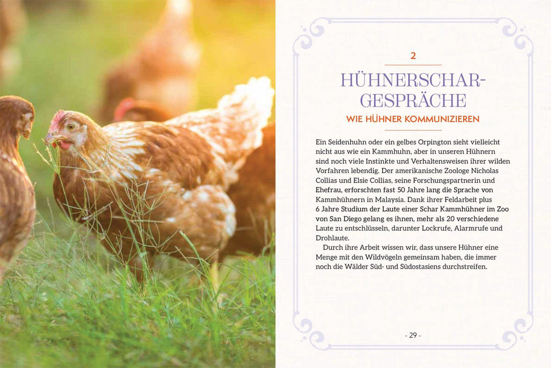 How to Read a Chicken's Mind | Caughey, Melissa