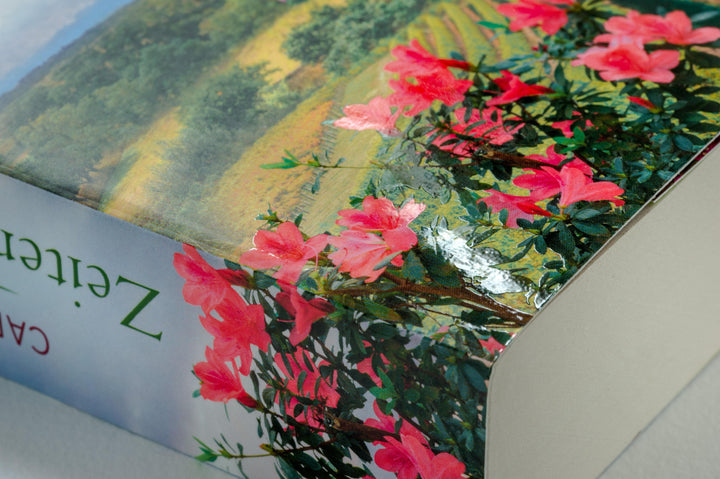 Zeiten des Umbruchs | Bellmonte, Carmen