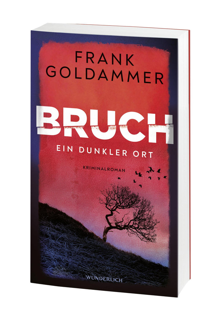 Bruch: Ein dunkler Ort | Goldammer, Frank