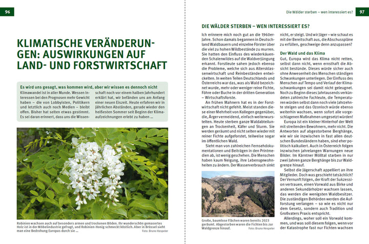 Die Jagd | Hespeler, Bruno