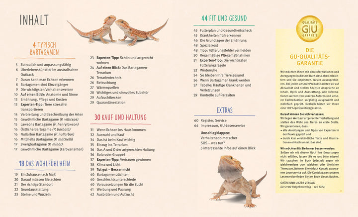 Bartagamen | Au, Manfred