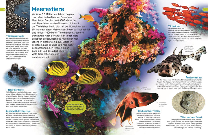 memo Wissen entdecken. Tiere | Jackson, Tom