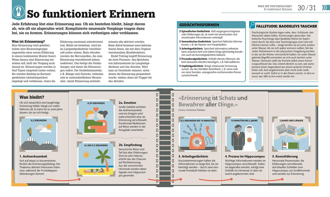 #dkinfografik. Psychologie im Alltag | Hemmings, Jo | Collin, Catherine | Gi...