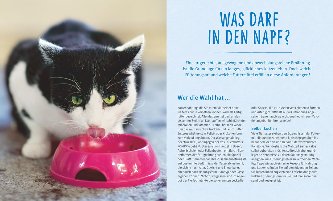 Katzen gesund ernähren | Streicher, Michael