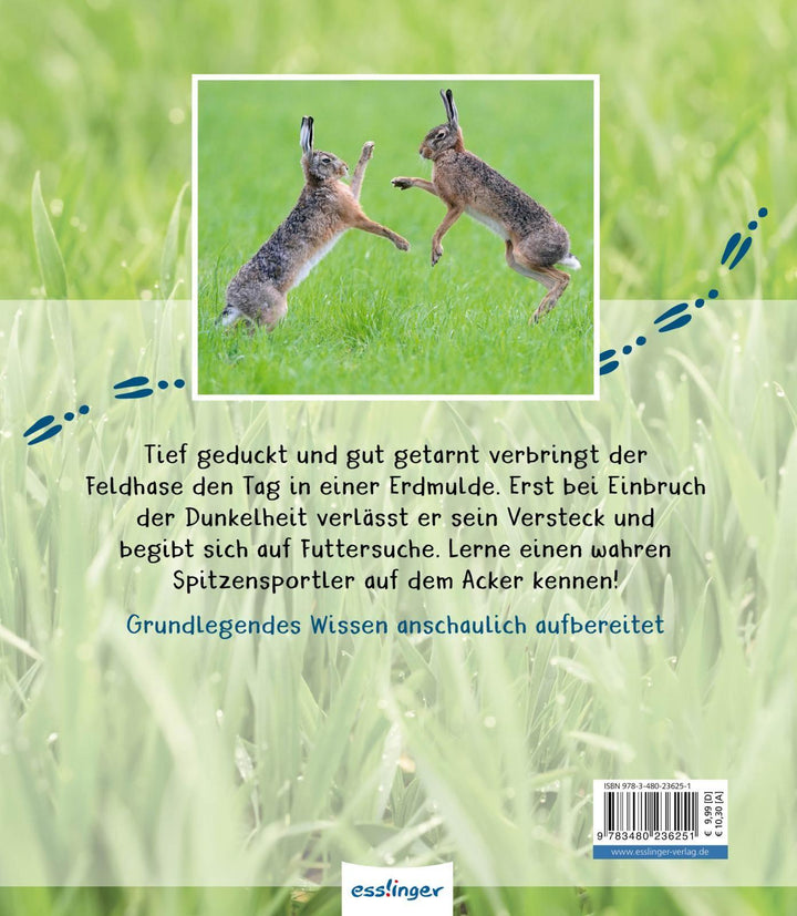 Meine große Tierbibliothek: Der Hase | Poschadel, Jens