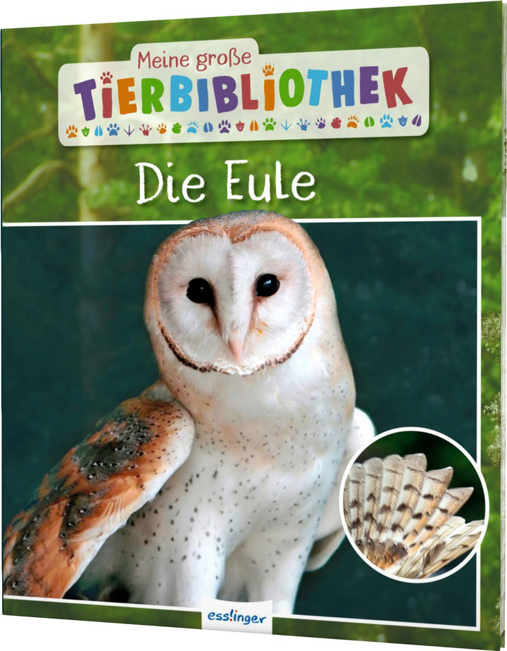 Meine große Tierbibliothek: Die Eule | Poschadel, Jens