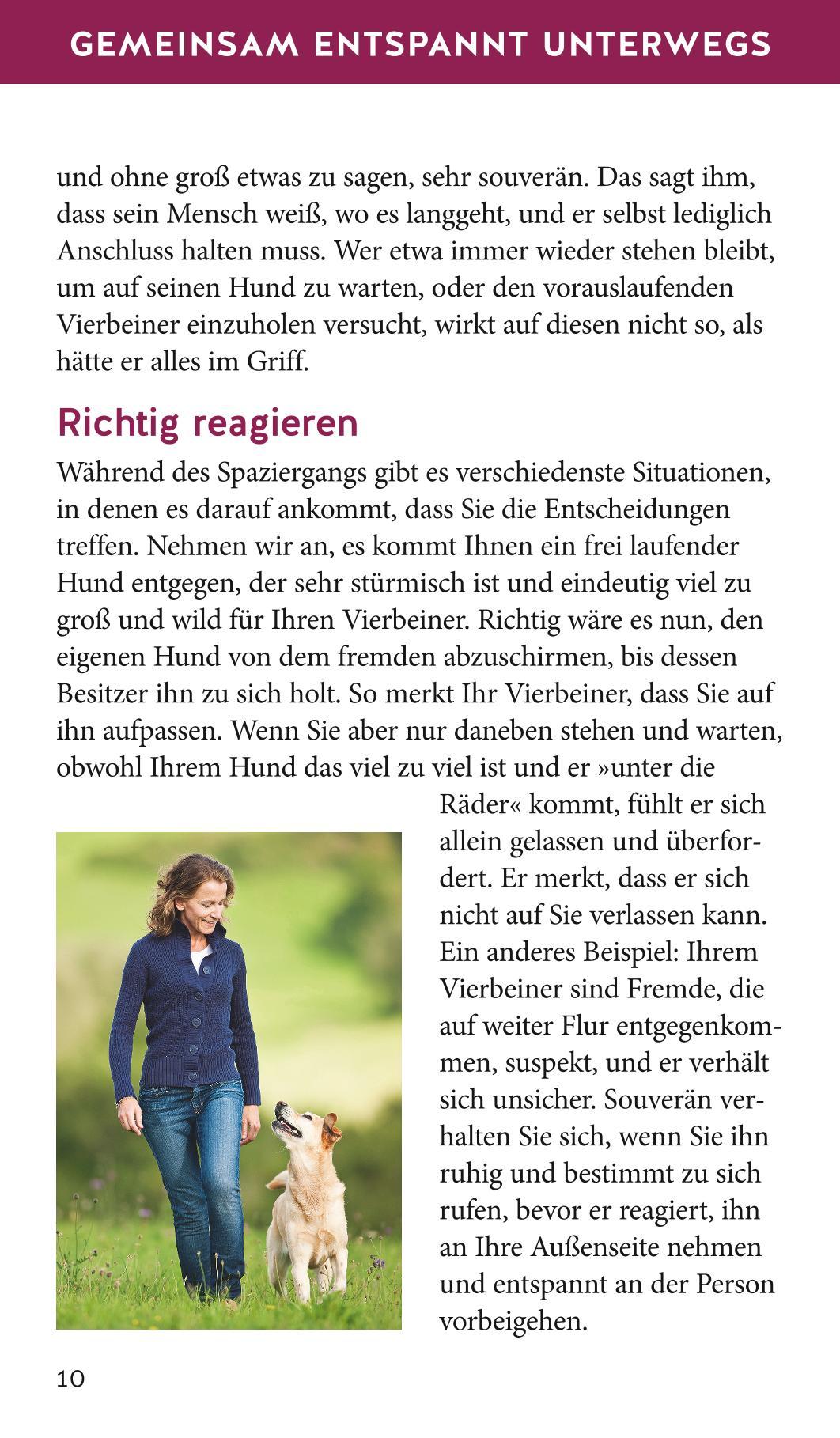 Hunde-Gassi-Box | Schlegl-Kofler, Katharina