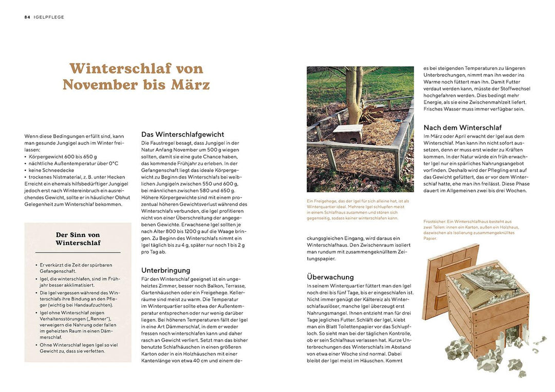 Igel im Garten | Neumeier, Monika