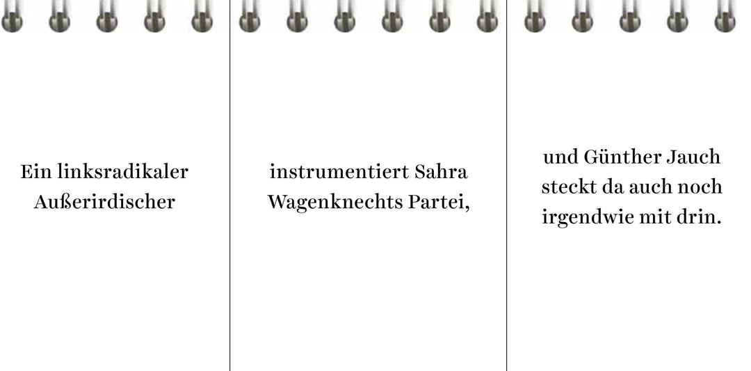 Der Desinformator | Wittkamp, Peter | Frey, Pia