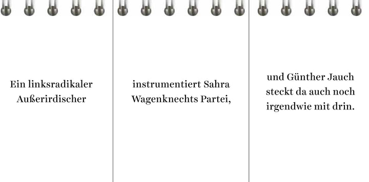 Der Desinformator | Wittkamp, Peter | Frey, Pia