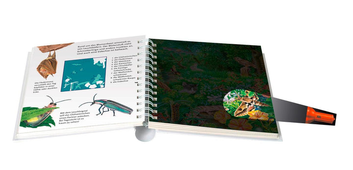 Nachts im Garten | -