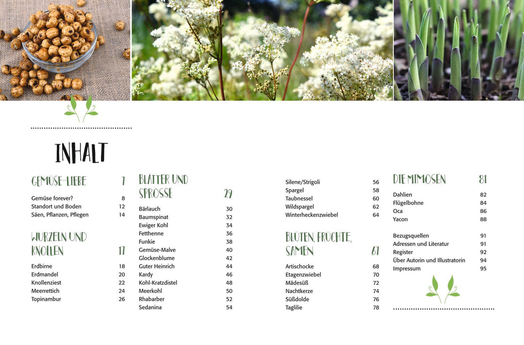 Gemüse forever! | Weidenweber, Christine