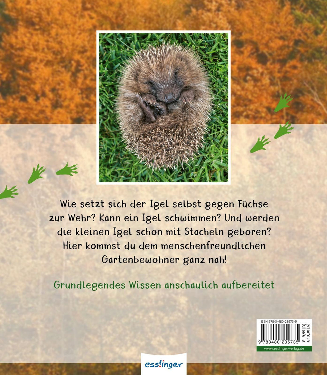 Meine große Tierbibliothek: Der Igel | Tracqui, Valérie