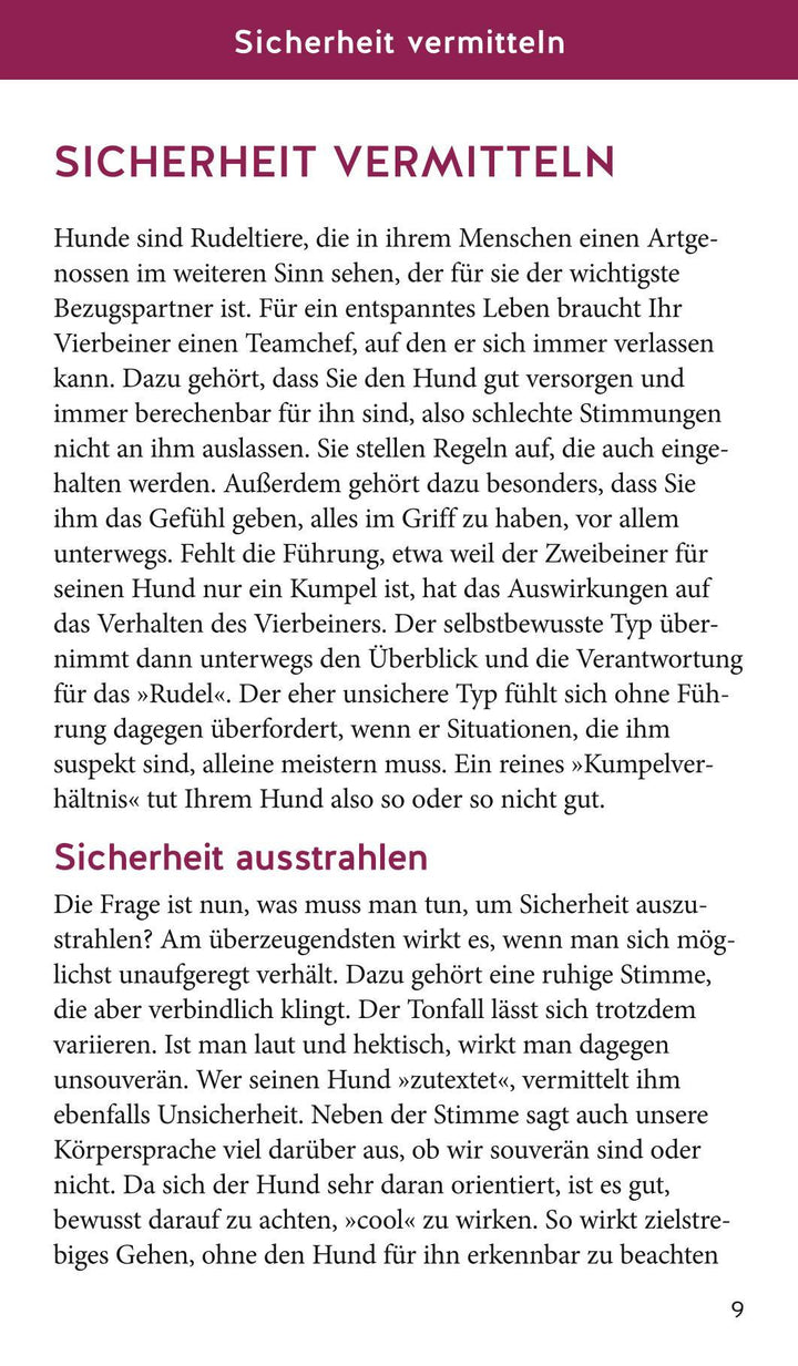 Hunde-Gassi-Box | Schlegl-Kofler, Katharina