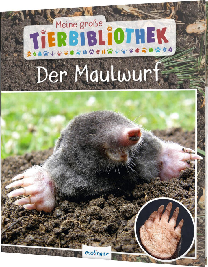 Meine große Tierbibliothek: Der Maulwurf | Poschadel, Jens