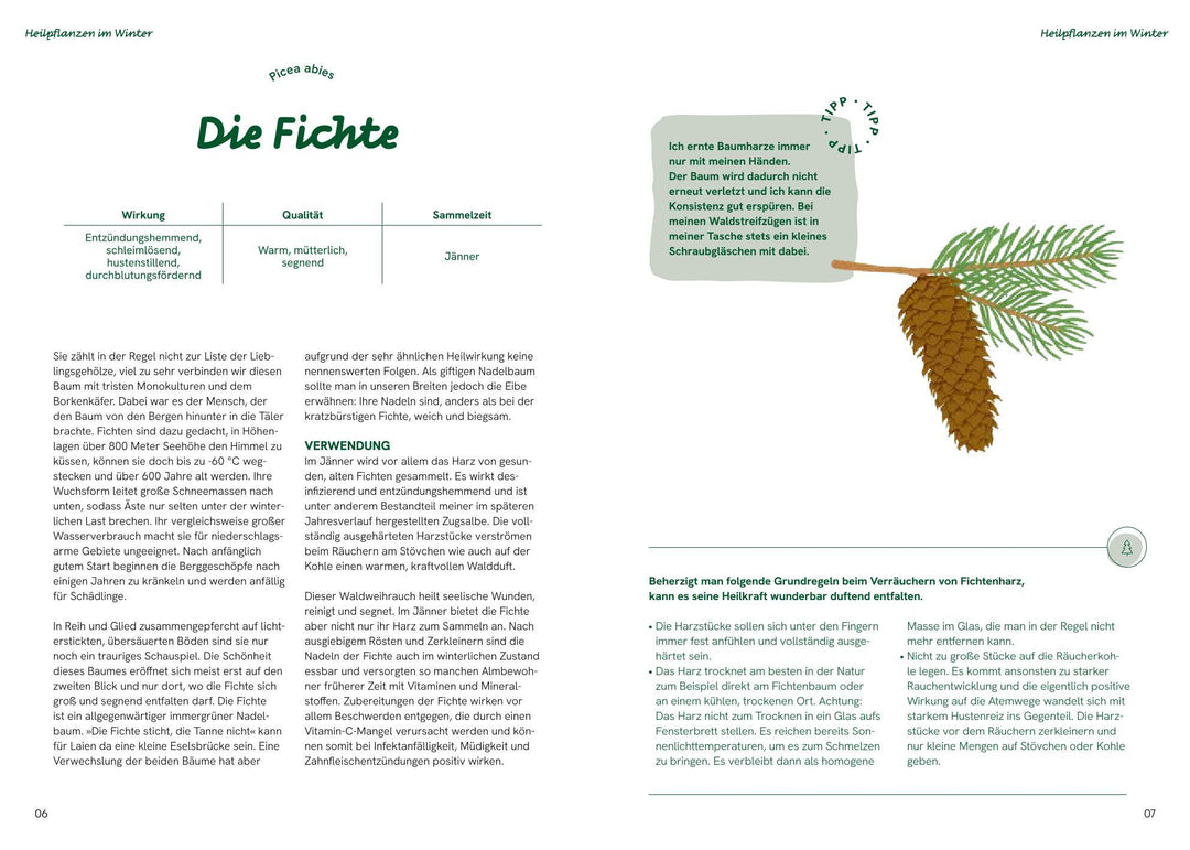 Die große Waldapotheke | Eilmsteiner, Sabine