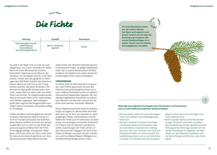 Die große Waldapotheke | Eilmsteiner, Sabine