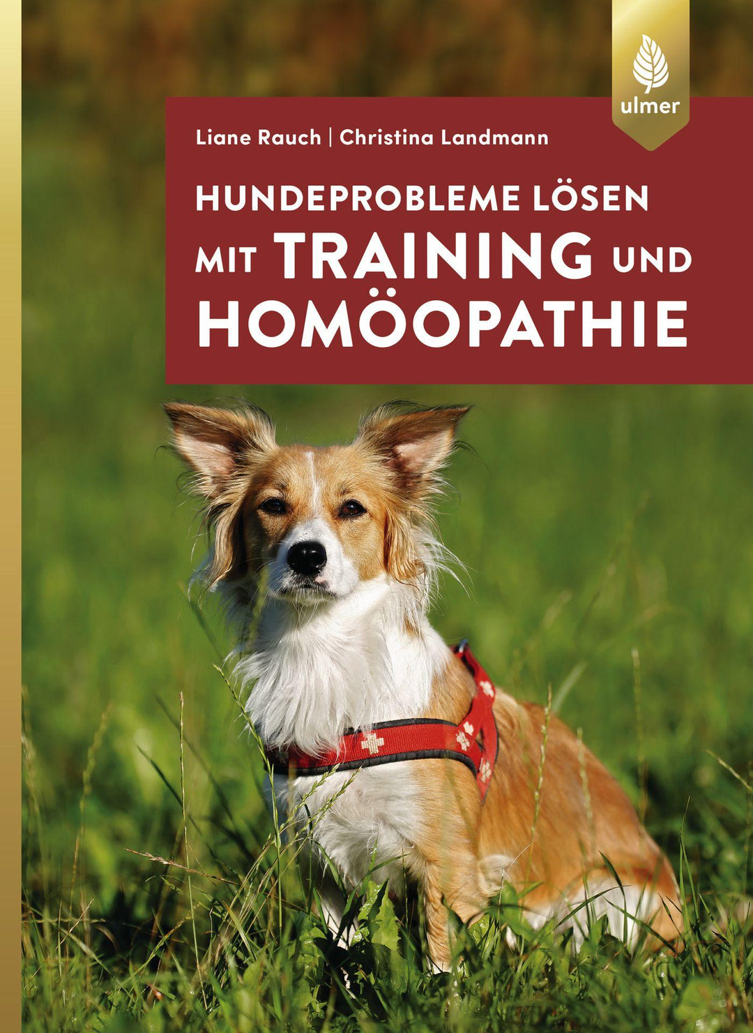Hundeprobleme lösen mit Training und Homöopathie | Rauch, Liane | Landmann, ...