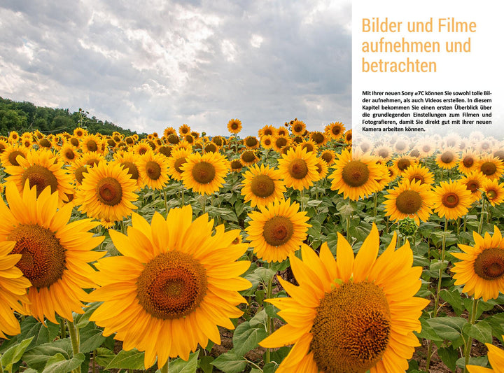 Sony A7C | Horn, Tobias | Schlömer, Lothar