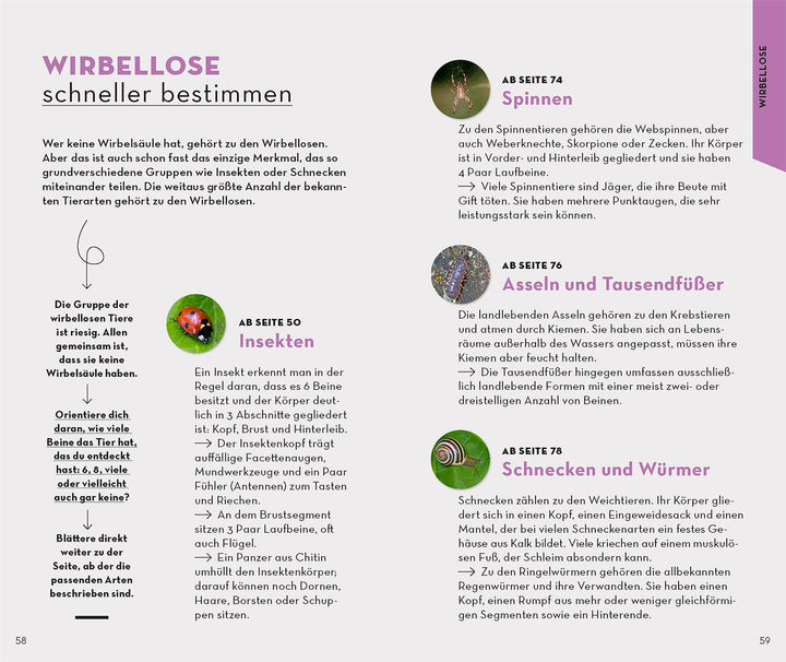 Basic Wald | Wilhelmsen, Ute